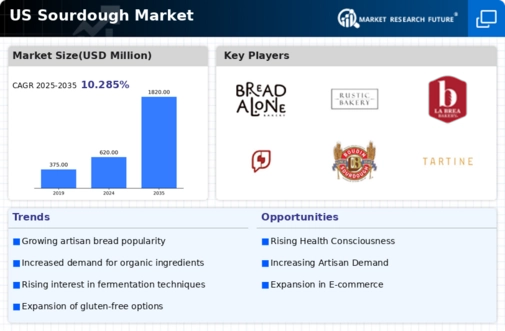 US Sourdough Market Infographic