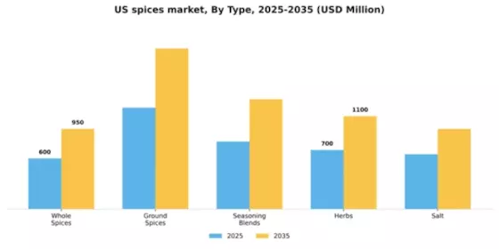 US Spices Seasonings Market Segment Image 3