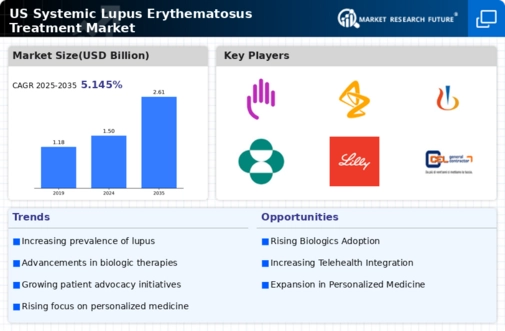 US Systemic Lupus Erythematosus Treatment Market Infographic