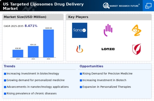 US Targeted Liposomes Drug Delivery Market Infographic