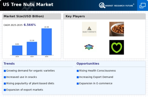 US Tree Nuts Market Infographic