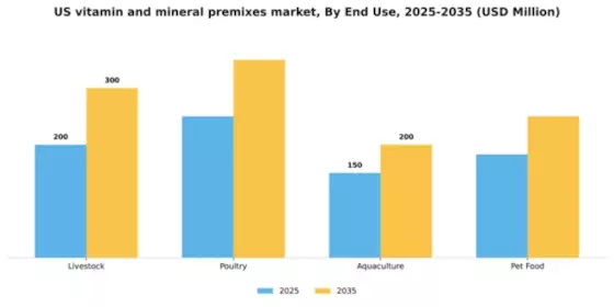 US Vitamin and Mineral Premixes Market Segment Image 1