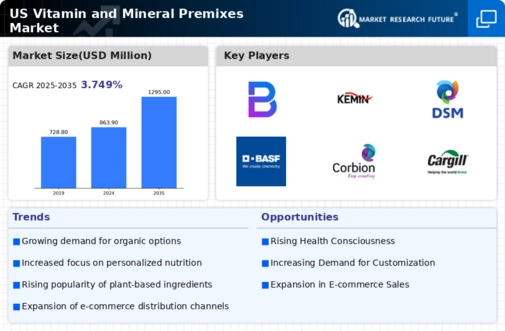 US Vitamin and Mineral Premixes Market Infographic