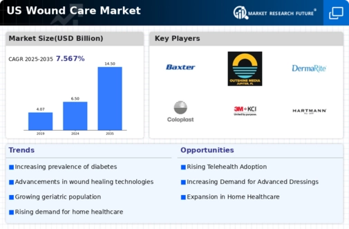 US Wound Care Market Infographic