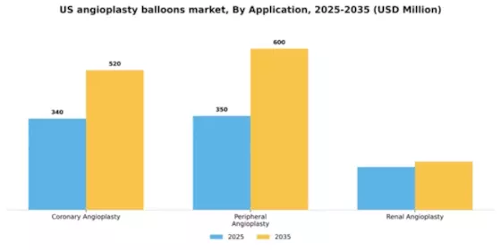 US Angioplasty Balloons Market Segment Image 0
