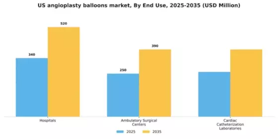 US Angioplasty Balloons Market Segment Image 1