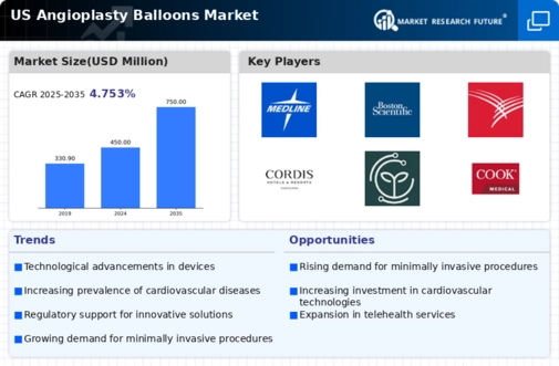 US Angioplasty Balloons Market Infographic