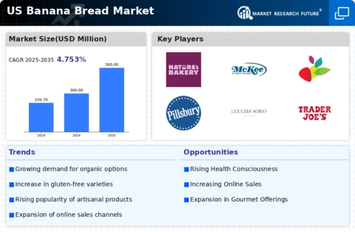 US Banana Bread Market Infographic