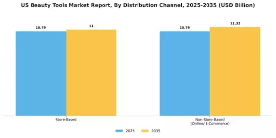 US Beauty Tools Market Segment Image 0