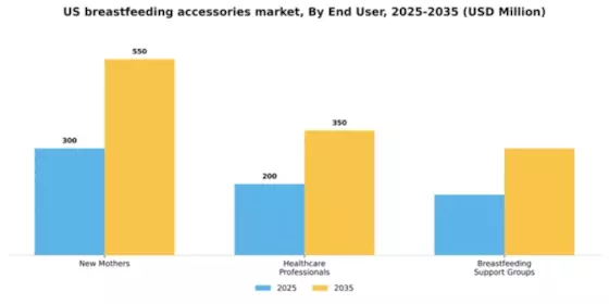 US Breast Feeding Accessories Market Segment Image 1