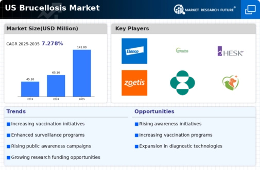 US Brucellosis Market Infographic