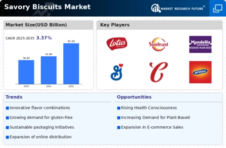 Savoury Biscuit Market Infographic