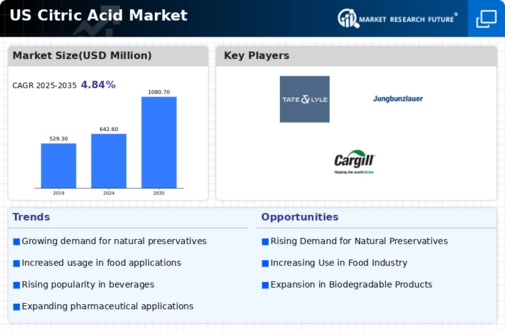 US Citric Acid Market Infographic