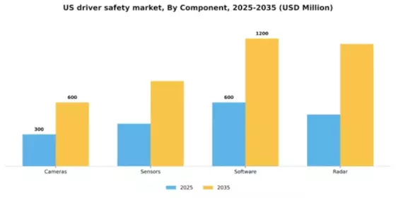 US Driver Safety Market Segment Image 1
