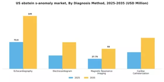 US Ebstein’s Anomaly Market Segment Image 0