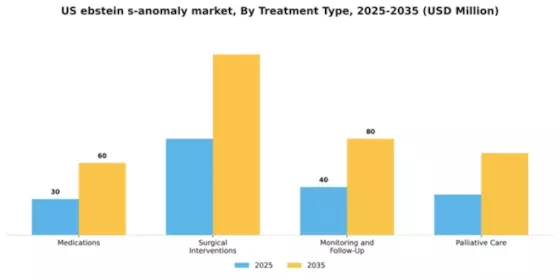 US Ebstein’s Anomaly Market Segment Image 3