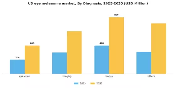 US Eye Melanoma Market Segment Image 0