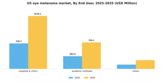 US Eye Melanoma Market Segment Image 1