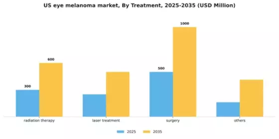 US Eye Melanoma Market Segment Image 3