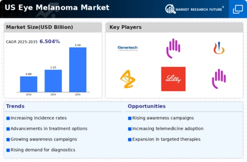 US Eye Melanoma Market Infographic