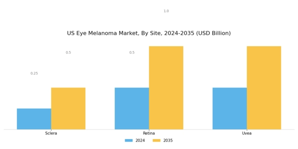US Eye Melanoma Market Segment Image 0