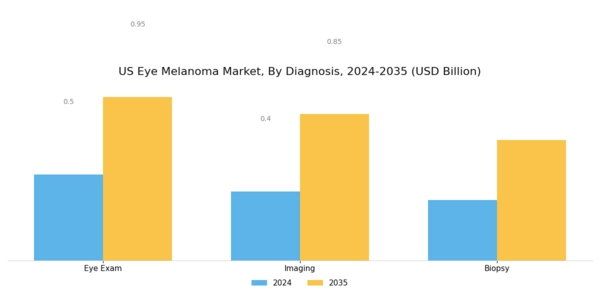 US Eye Melanoma Market Segment Image 1