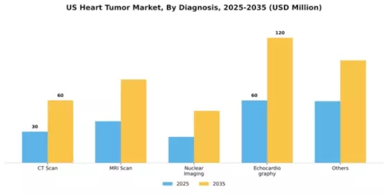 US Heart Tumor Market Segment Image 0
