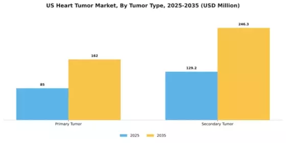 US Heart Tumor Market Segment Image 2