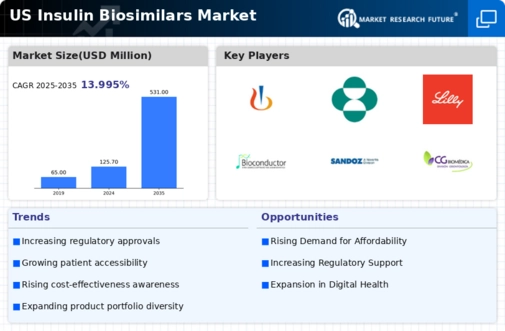 US Insulin Biosimilars Market Infographic