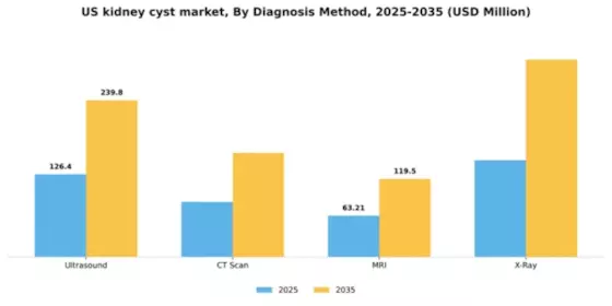US Kidney Cyst Market Segment Image 0
