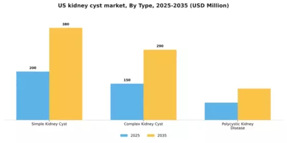 US Kidney Cyst Market Segment Image 3