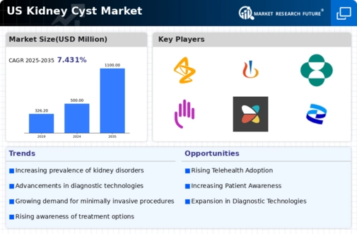US Kidney Cyst Market Infographic