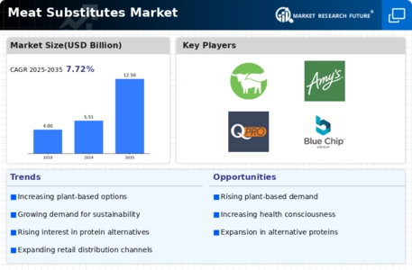 Meat Substitutes Market Infographic