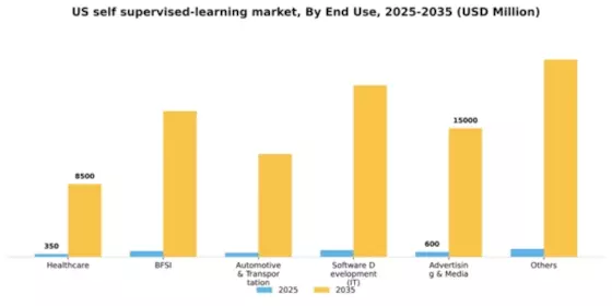 US Self Supervised Learning Market Segment Image 0