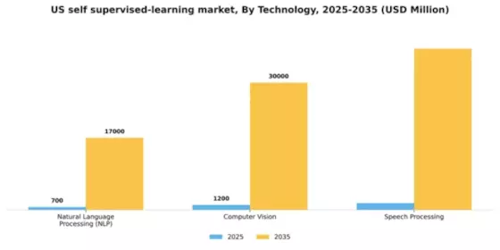 US Self Supervised Learning Market Segment Image 1