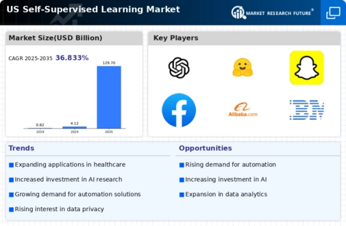 US Self Supervised Learning Market Infographic