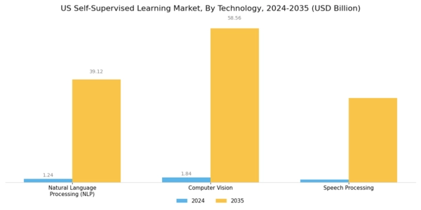 US Self Supervised Learning Market Segment Image 1