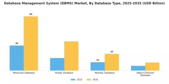 Database Management System Market Segment Image 1