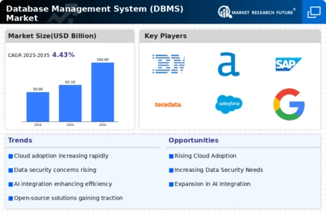 Database Management System Market Infographic