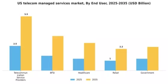 US Telecom Managed Services Market Segment Image 1