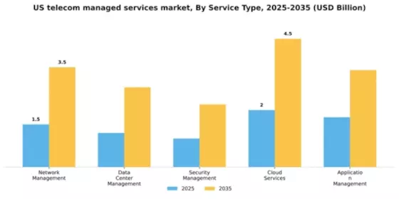 US Telecom Managed Services Market Segment Image 3