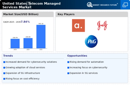US Telecom Managed Services Market Infographic