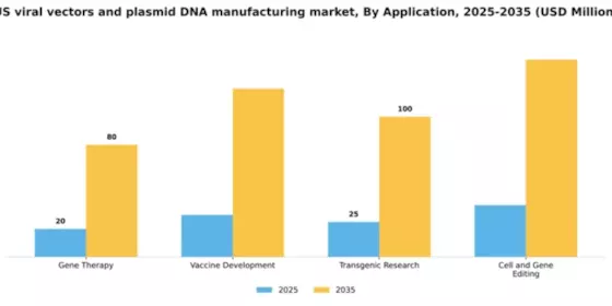 US Viral Vectors and Plasmid DNA Manufacturing Market Segment Image 0