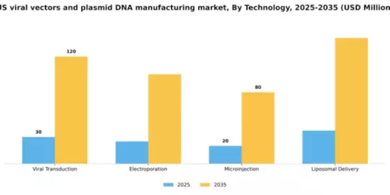 US Viral Vectors and Plasmid DNA Manufacturing Market Segment Image 2