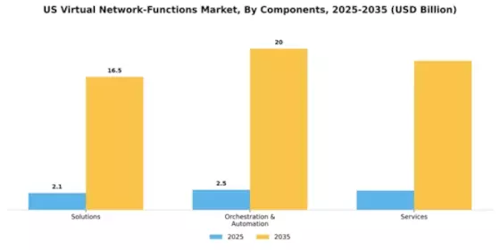 US Virtual Network Functions Market Segment Image 1