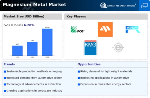Magnesium Metal Market Infographic