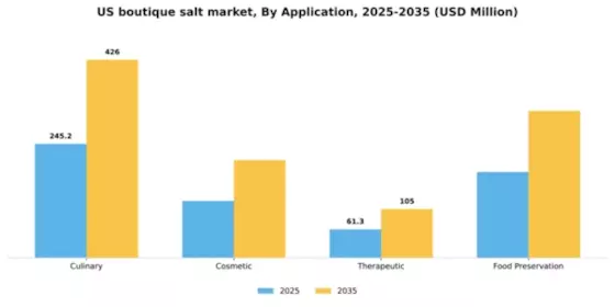 US Boutique salt Market Segment Image 0