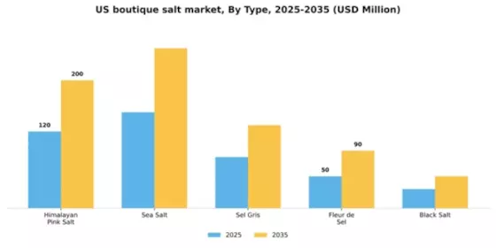 US Boutique salt Market Segment Image 3