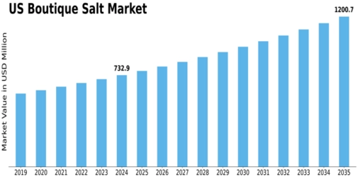 US Boutique salt Market Size