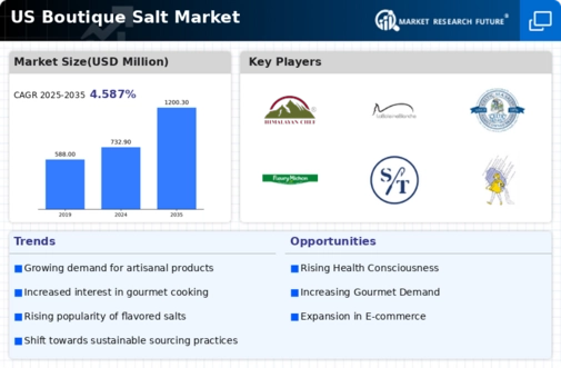 US Boutique salt Market Infographic